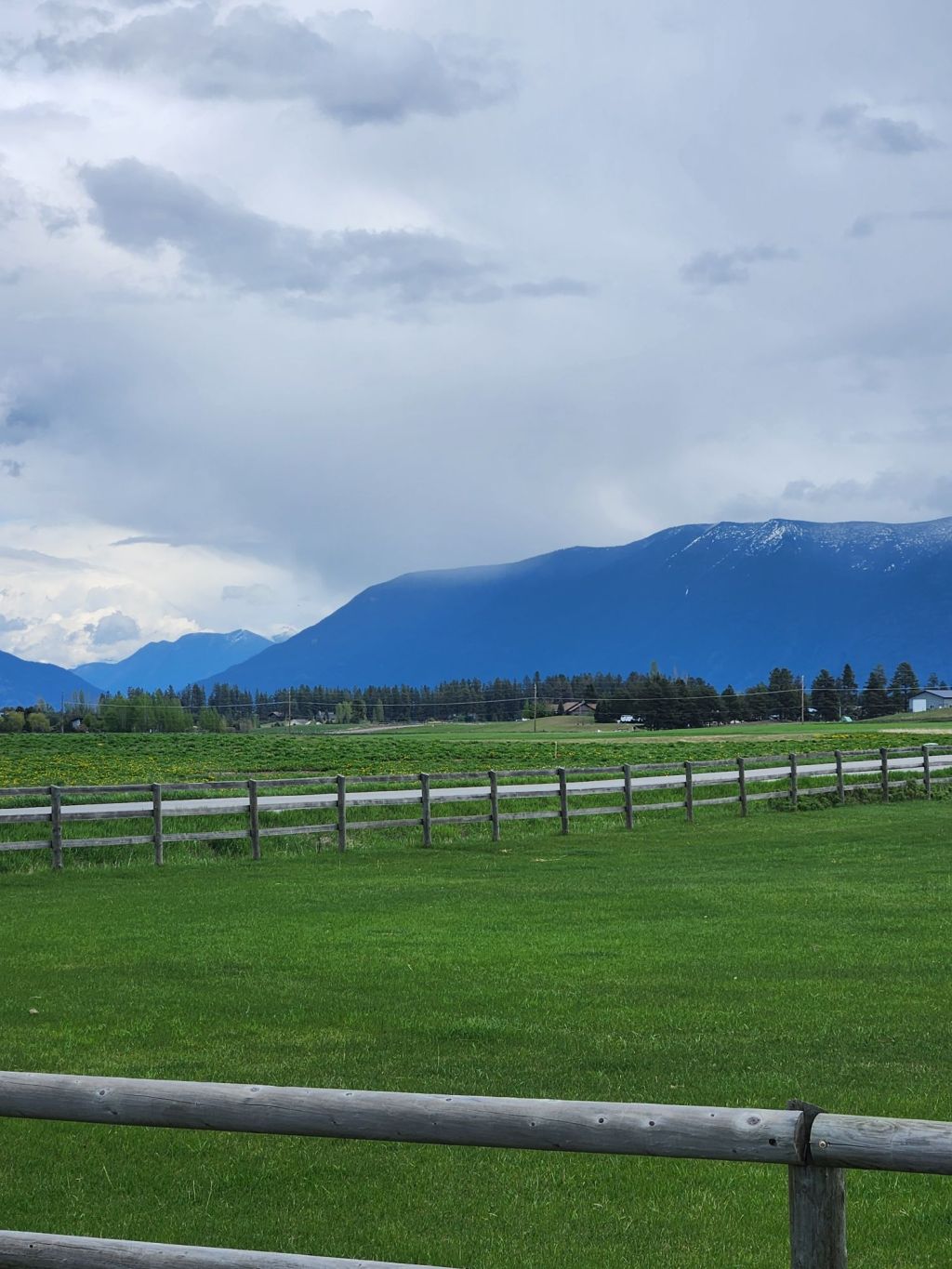 Navigating Detours: An Update on Our Present&nbsp;Situation